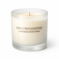 Usually Meets Exceptions performance review candle in frosted glass
